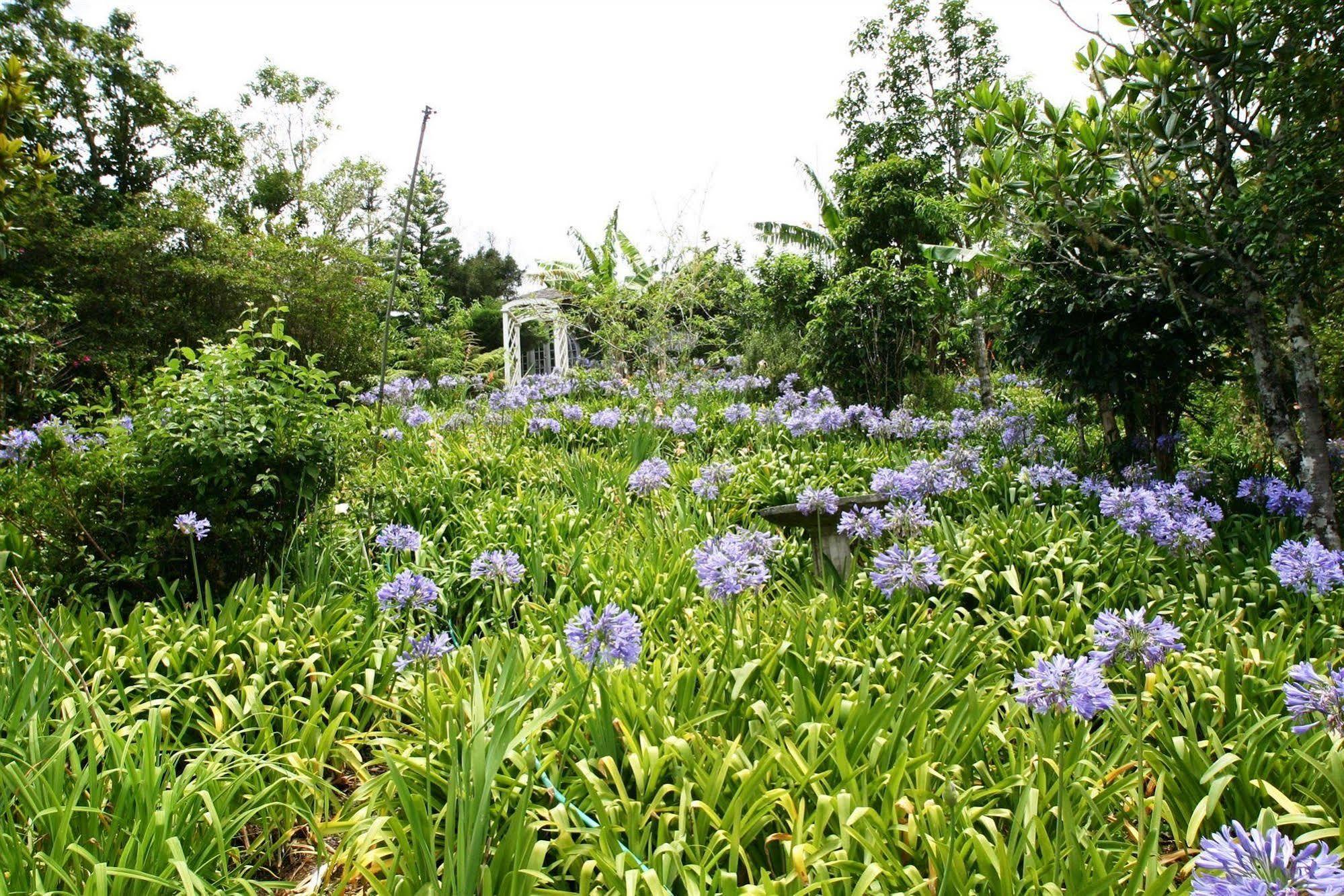 Starlight Chalet Blue Mountains المظهر الخارجي الصورة